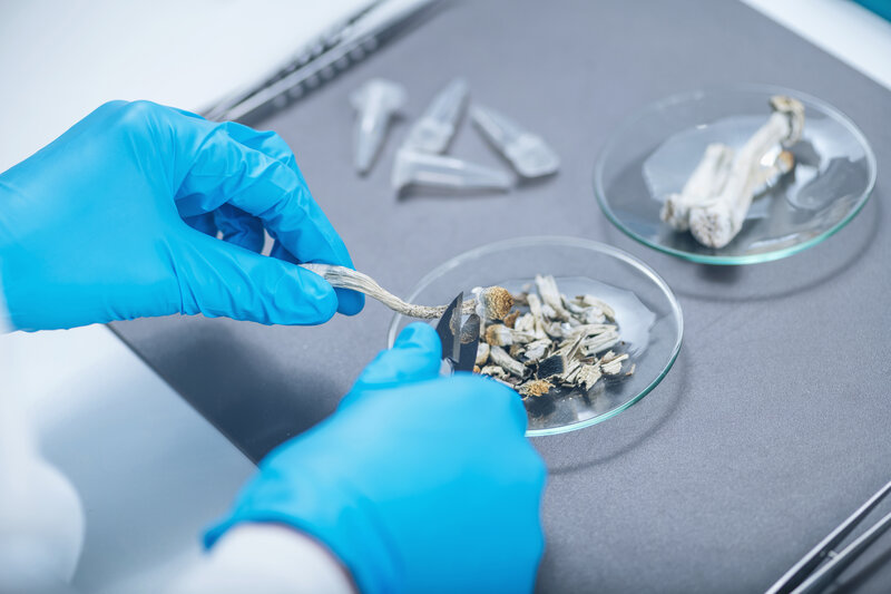 The Psychoactive Compound in Magic Mushrooms is Helping Cancer Patients in a Profound Way